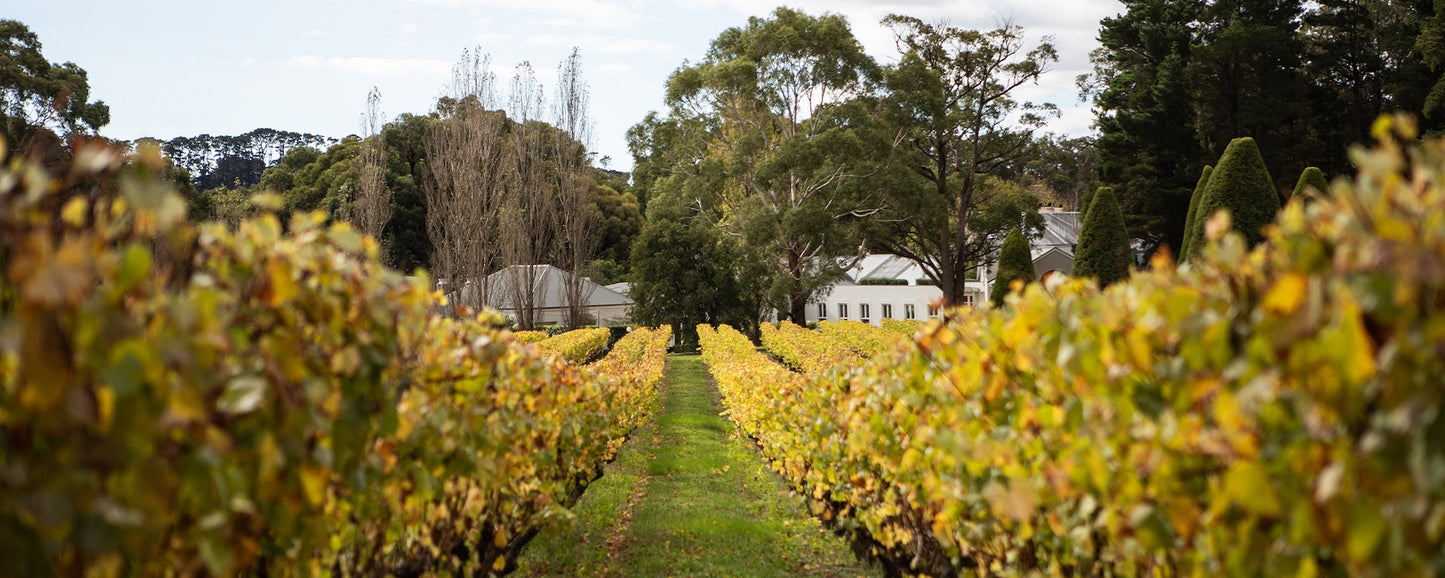 Bed & Breakfast Package